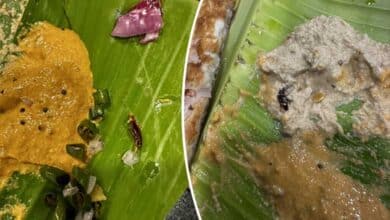 Hyderabad Customer Finds Cockroaches in Food at Kukatpally Tiffin Center