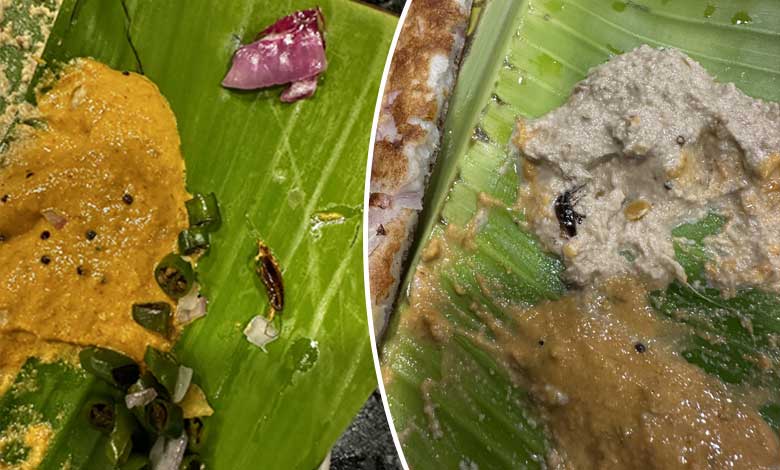 Hyderabad Customer Finds Cockroaches in Food at Kukatpally Tiffin Center