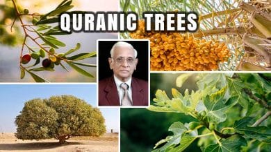 Some Quranic Trees with Hidden Names- A Scientific Review: Dr. MIH Farooqi