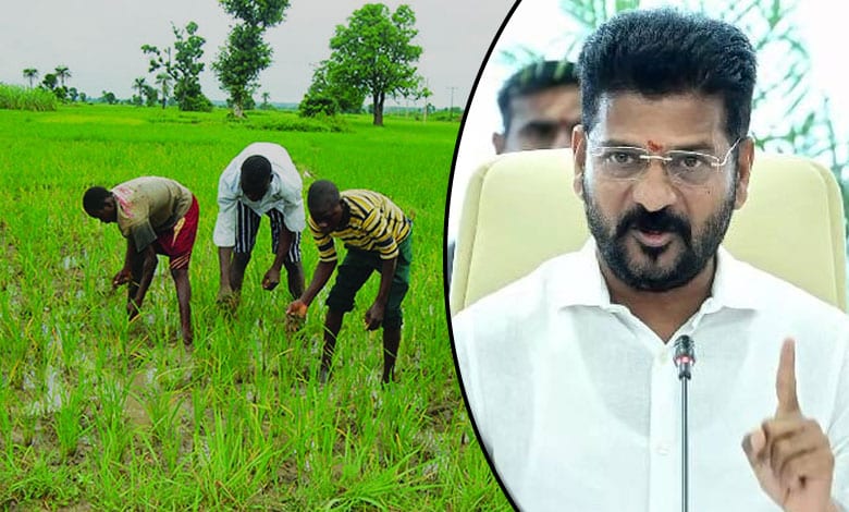 REVANTH FARMERS 1 Telangana Sees 61% Rise in Fine Paddy Cultivation Following Rs 500 Bonus Announcement