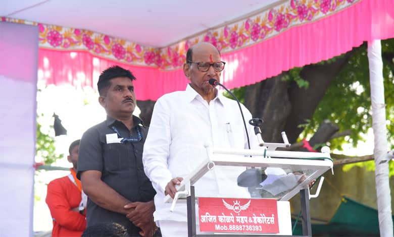 Assembly polls: Sharad Pawar campaigns extensively for grandnephew in family turf Baramati