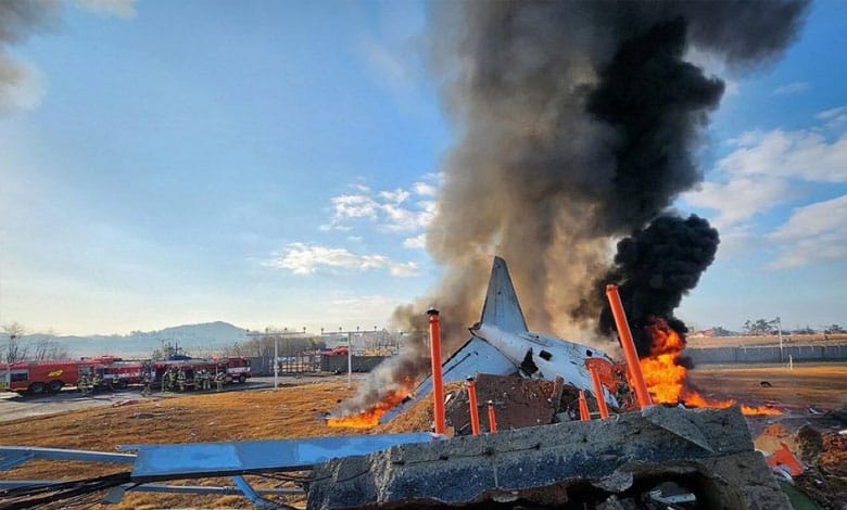 123 114 South Korea Plane Crash: Bird Strike Suspected as Death Toll Rises to 127