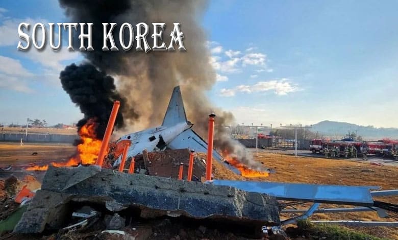 123 115 Was South Korea Plane Crash a Bird Strike or a Shorter Runway? Investigating the Fatal Incident That Kills More Than 150