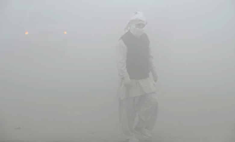 Cold Wave Grips Rajasthan: Dense Fog and Plummeting Temperatures Impact Cities Across the State