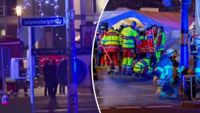 Seven Indians injured in deadly Christmas market attack in Germany