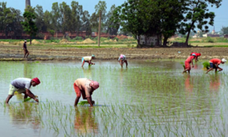 World Bank okays loan for new project to boost earnings of UP farmers