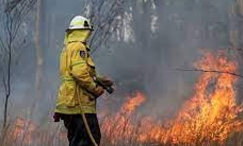 Firefighters continue to battle out-of-control bushfires in Australia's Victoria