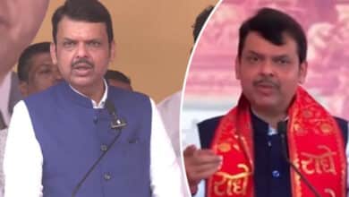 Whatever we will do, it will be as per provisions of Constitution: CM Devendra Fadnavis