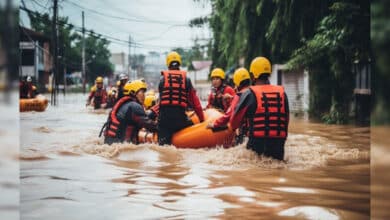 Cyclone Fengal: Central team to assess damage in TN, Puducherry