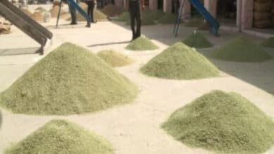 FDI in India's food processing sector reaches 8 million in April-Sep