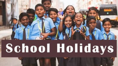 Winter Holiday Announcement: Schools to Remain Closed from January 1 to 15, Remedial Classes for High School Students