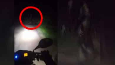 Hyderabadi Monjolika? What's the Story Behind the 'Chudail' Sightings and Alleged Attacks in Jalpally?