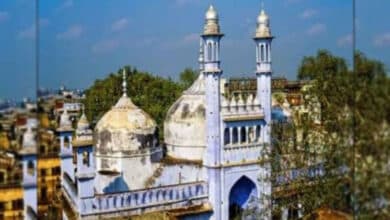 Sambhal admin launches drive against encroachment, power theft near Jama Masjid