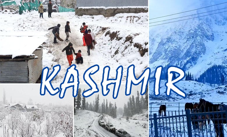 Kashmir Turns into a Snowy Wonderland: Season's First Snowfall Mesmerizes Valley