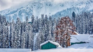 Light Rain and Snowfall Expected in Jammu & Kashmir in the Next 24 Hours