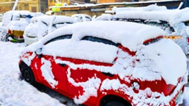 Kashmir Snowfall: Highways Blocked, Flights Cancelled, and Locals Aid Stranded Tourists