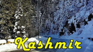 Severe Winter Winds Continue in Kashmir; Nighttime Temperatures Plunge to -23°C