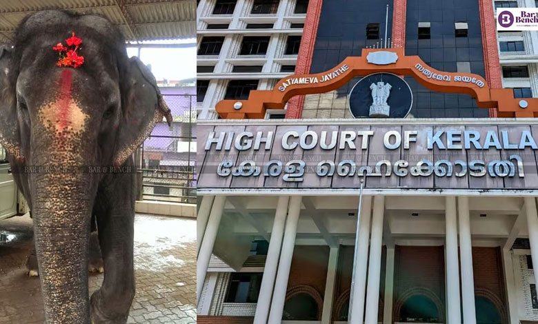 Kerala temple trusts move SC challenging restrictions on elephant management in Thrissur Pooram