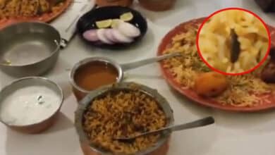 Cockroach Found in Biryani at Kritunga Restaurant, Kothapet