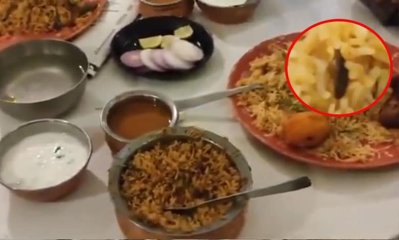 Cockroach Found in Biryani at Kritunga Restaurant, Kothapet