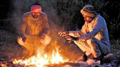 : Misty mornings in Telangana's Winter Alert as temperatures dip below 4°C in isolated regions.