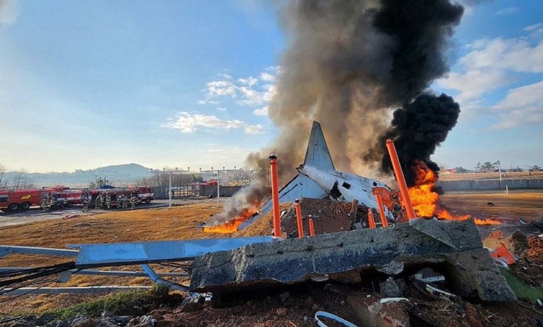 Plane Crash in South Korea: 96 Dead as Jeju Airlines Flight Bursts into Flames