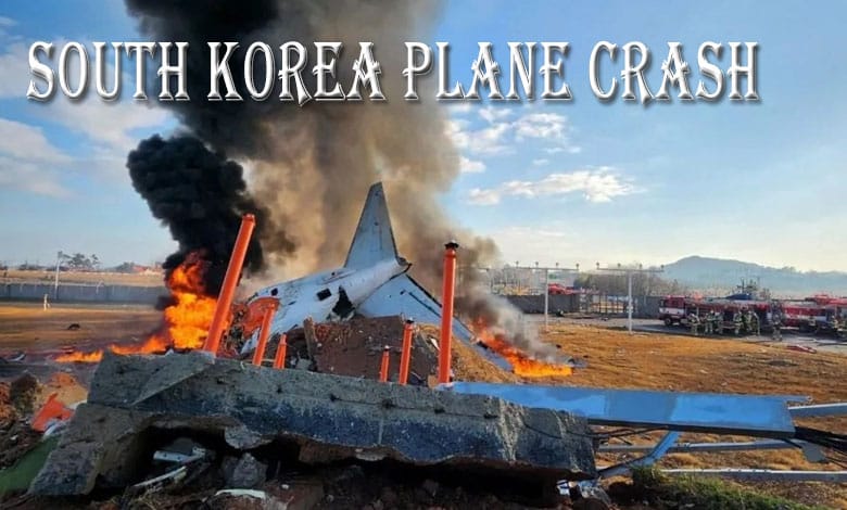 PLANE CRASH 5 1 Was South Korea Plane Crash a Bird Strike or a Shorter Runway? Investigating the Fatal Incident That Kills More Than 150