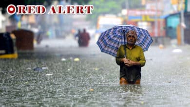 Kerala's Wayanad Shuts Educational Institutions Amid IMD Red Alert for Heavy Rainfall