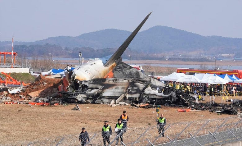 SOUTH KOREA 5 South Korea Plane Crash: Bird Strike Suspected as Death Toll Rises to 127