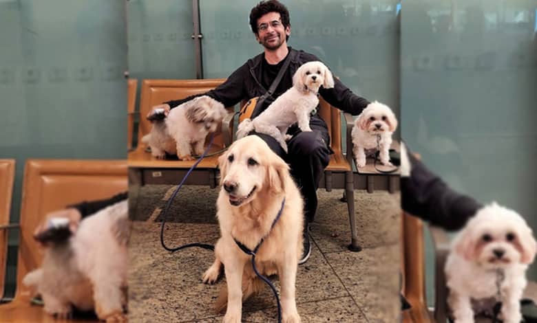 Sunil Grover’s ‘kaarvaan’ with his furry friends