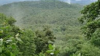 Tiruvannamalai landslide: Expert panel to decide whether devotees can climb Annamalai hills