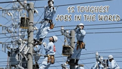 15 Toughest Jobs in the World: Dangerous Work That Makes Desk Jobs Look Easy