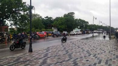 Light to moderate rain likely in Telangana in next 48 hours: Met