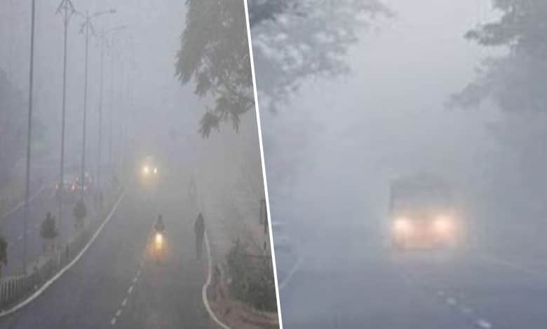 Hyderabad Weather: Cold Waves and Haze to Continue – IMD Issues Yellow Alert, Check Full Week Forecast