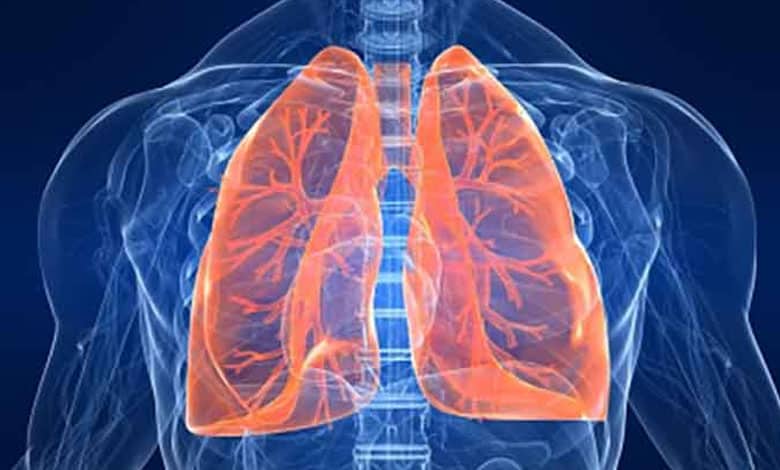 lungs 2 Study Reveals Ozone Therapy as Promising Treatment for Sepsis-Induced Lung Injury