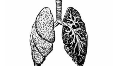 Study Reveals Ozone Therapy as Promising Treatment for Sepsis-Induced Lung Injury