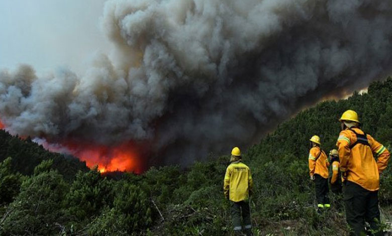 121 34 Wildfire Devours 3,500 Hectares of National Park in Argentina