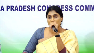 Andhra Pradesh: Y. S. Sharmila Slams CM Naidu for Failing to Fulfill Promises, Demands Special Category Status