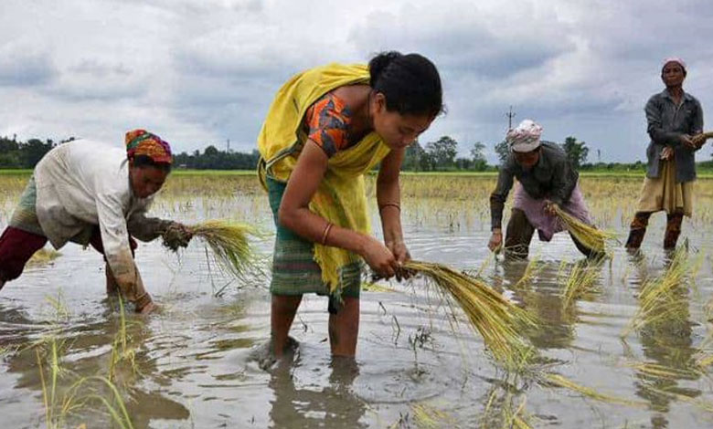 AGRICULTURE1 India Positioned for Significant Growth in Agricultural Exports by 2025: Report