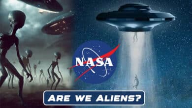 Are We All Aliens? NASA’s Asteroid Findings Bring Us Closer to the Truth