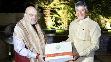 Andhra Pradesh: Amit Shah Focuses on Strong Centre-State Collaboration for Development