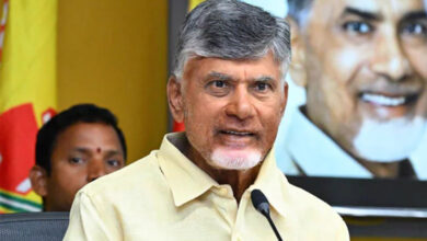 Andhra Pradesh CM Extends Makar Sankranti Greetings to People