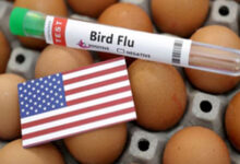 Experts Warn About Human Deaths from Bird Flu, Emphasize Monitoring and Genome Sequencing