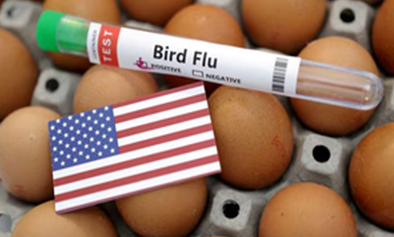 Experts Warn About Human Deaths from Bird Flu, Emphasize Monitoring and Genome Sequencing