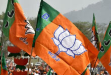 BJP Names 9 More Candidates for Delhi Polls, Shikha Rai Fielded from Greater Kailash