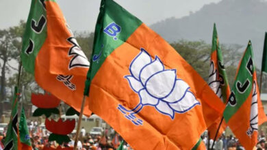 BJP Names 9 More Candidates for Delhi Polls, Shikha Rai Fielded from Greater Kailash