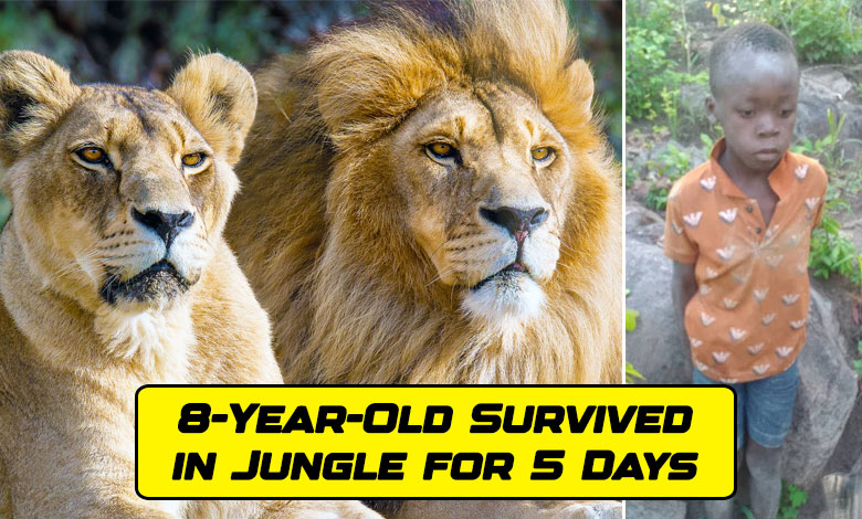 BOY SURVIVED IN JUNGLE FOR 5 DAYS 1 An 8-Year-Old Boy Lost in a Lion-Packed Jungle, Found Alive After 5 Days: How He Survived – Read Here