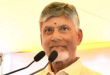 Andhra Pradesh CM Chandrababu Naidu Extends Kanuma Festival Greetings to State Residents