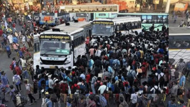 Pongal Festivities: 6.4 Lakh People Leave Chennai in Special Buses Over Three Days