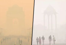 Weather Update: Dense Fog Grips Delhi-NCR; Temperature Drops to 1, IMD Predicts Light Rain